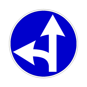 要求必须向左转弯或直行