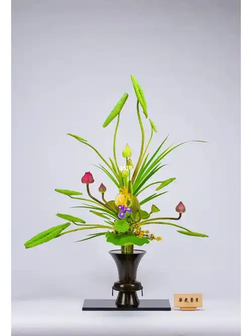 华道家元池坊华光教场华光昙月古典立花