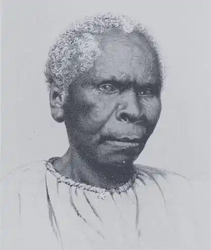 最后灭绝的人种, 1876年被澳大利亚当局赶尽杀绝