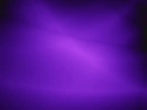 紫色背景