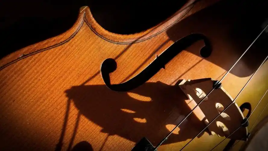 小提琴特写,音乐主题 壁纸 - 1600x900