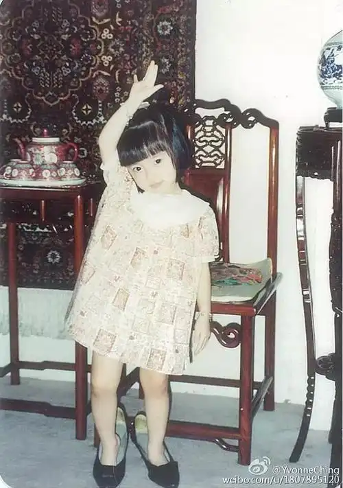 郑恺女朋友的妈妈长得好美神似小青陈美琪可惜爸爸拉低了颜值