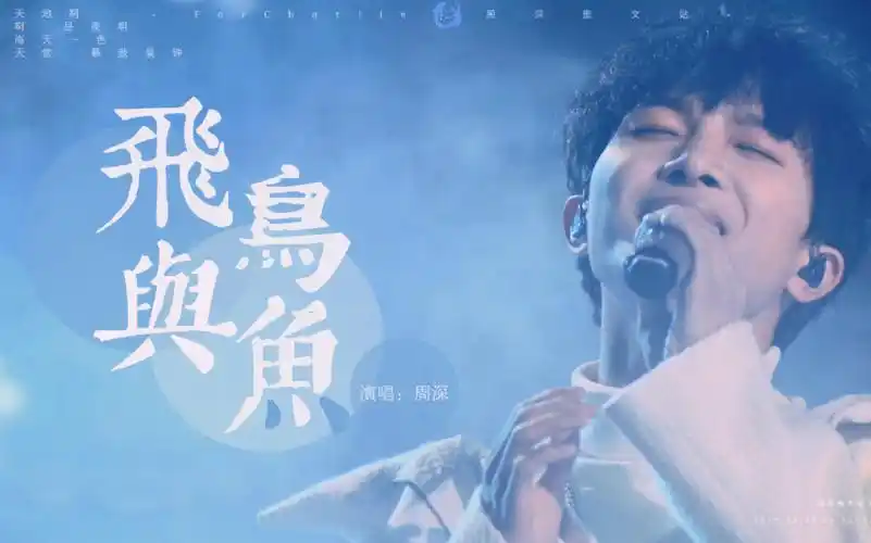 周深飞鸟与鱼大鱼live我和春天有个约会双机位剪辑版