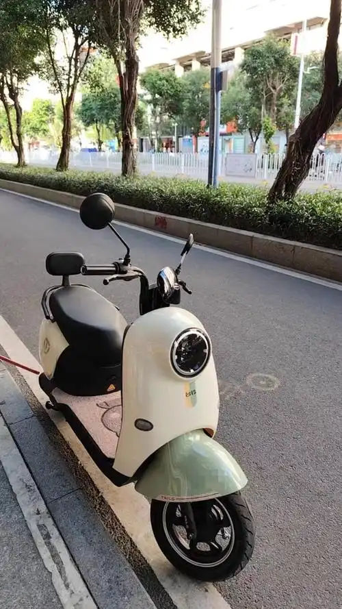 台铃新款萌苏两轮电摩60v高续航时尚代步新选择