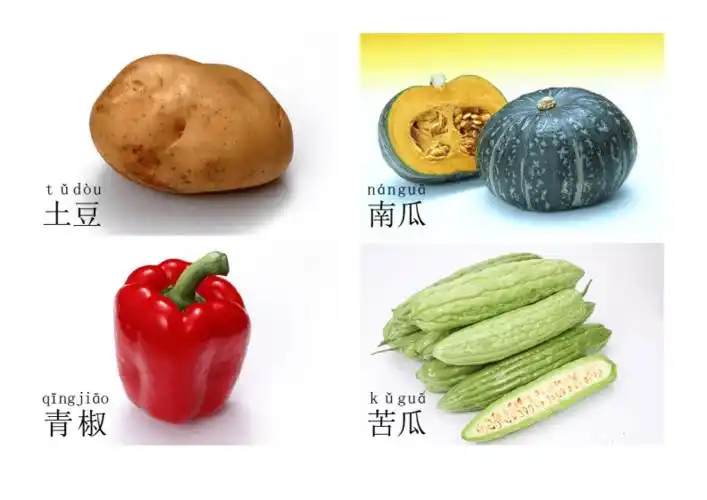 宝宝识图之蔬菜篇精选.pdf