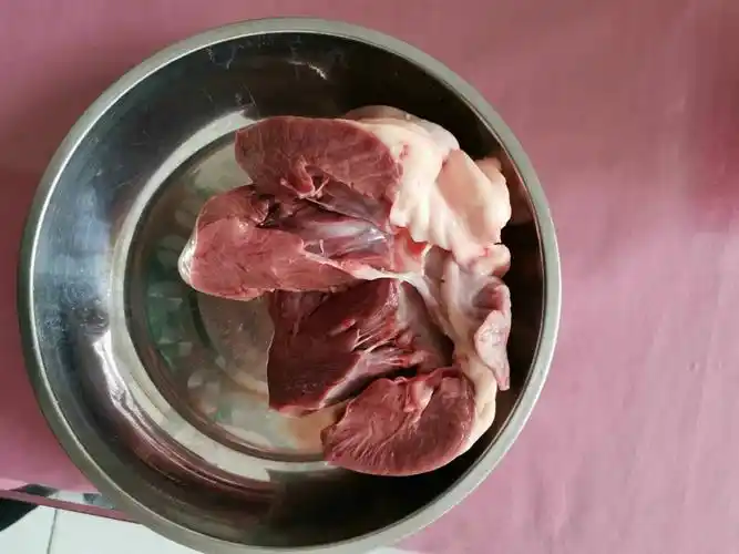 杰锐140第八周德育作业 —— 解剖猪心