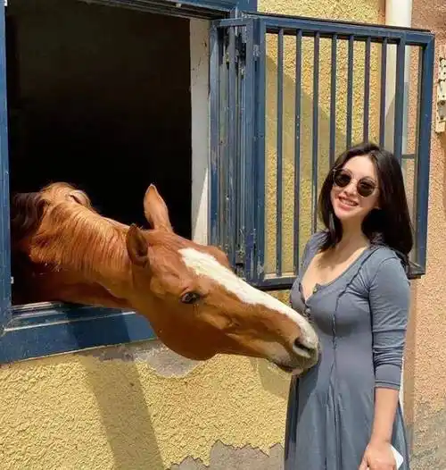 前几天,朱珠还大方共享怀孕期间维持好情况的方式,她坦言自身怀孕期间