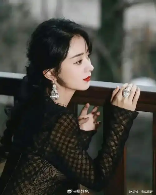 赵丽颖的转型之路选剧题材会不会成为其他小花的参照