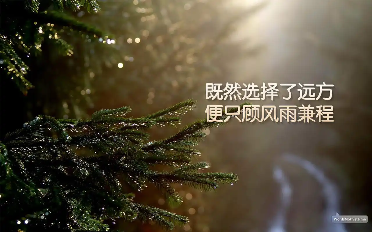 高考创意励志语录图片桌面壁纸