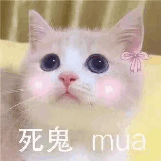 猫咪可爱猫死鬼mua搞怪逗gif动图_动态图_表情包下载_soogif