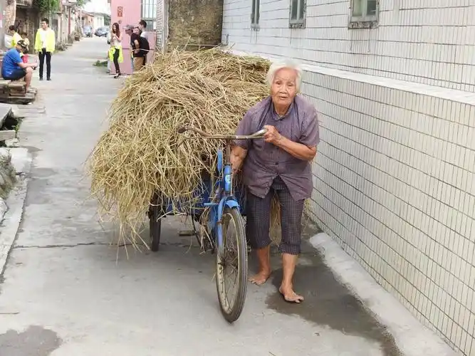 年迈力衰,应当安享晚年的日子,可怜的老人家白发苍苍,赤脚步行于生活