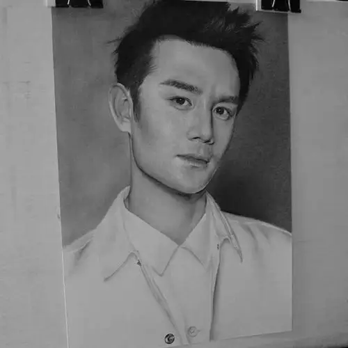 的话而且画的比照片还要逼真一半的画作都是王凯简直成为绘画的动力