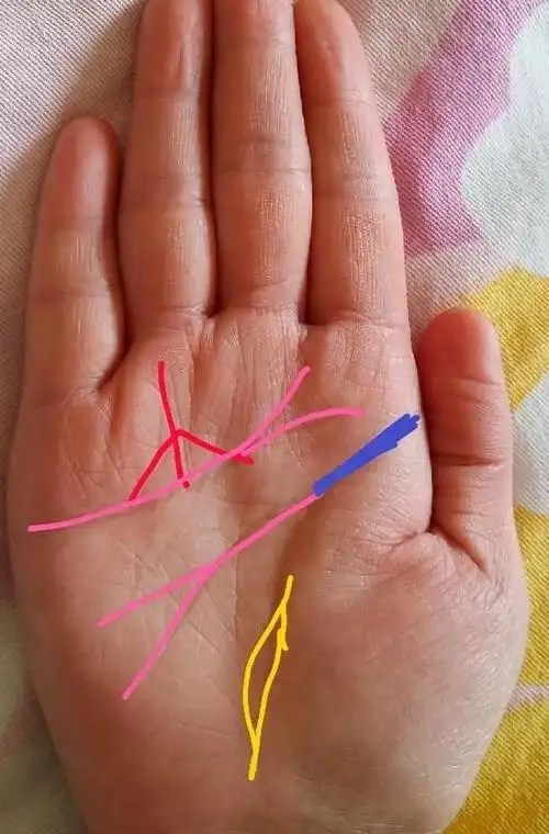 手相:百里挑一的3种旺夫,婚姻幸福的女人手相