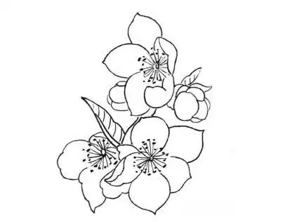 白描花鸟小品杏花蝴蝶画友们一起来练习吧