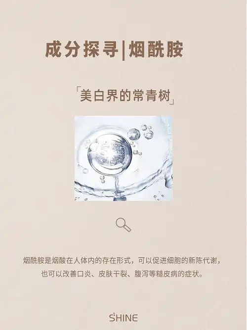 成分探寻美白界的常青树烟酰胺