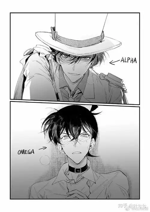 虽然知乎上支持快新的人不多但是老福特上有很多人虽然不是官配但希望