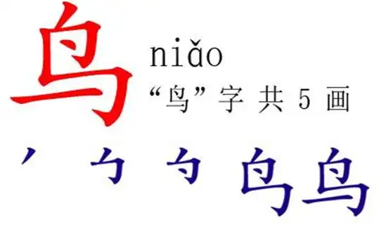 鸟的笔顺,鸟的笔顺怎么写图4