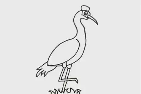 彩色可爱丹顶鹤简笔画教程 丹顶鹤简笔画儿童画怎么画