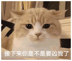 有什么适用于和老公/男票撒娇的可爱表情包?