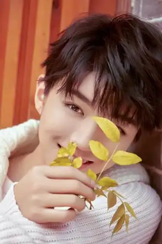 tfboys的队长王俊凯阳光时尚图片大全