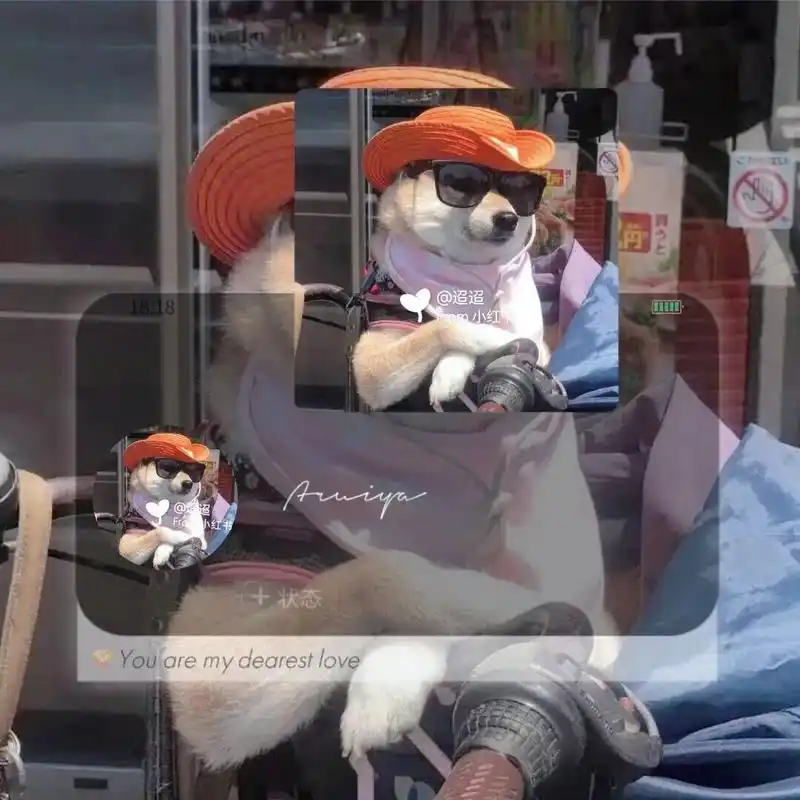 4 头像越怪人越可爱