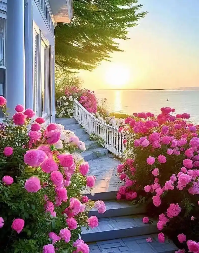 生活美好,有风有树.听老歌,偶尔惆怅.想想过往,云烟随风.不 - 抖音