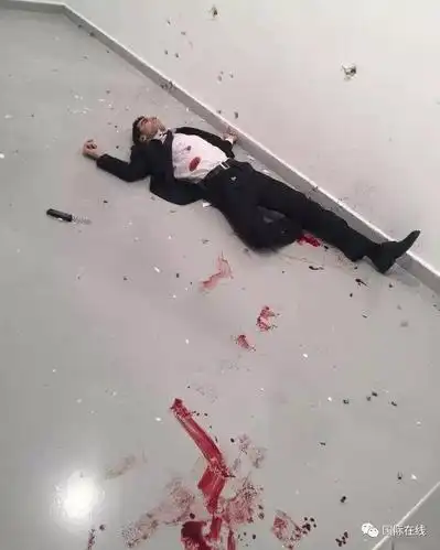 俄驻土耳其大使遭枪击现场曝光