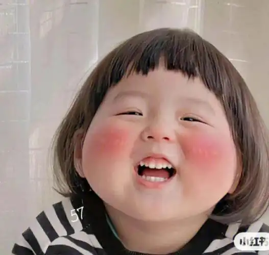 丸子7张超萌表情包分享真的超级无敌可爱