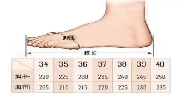 女生的脚和男生的不一样,女人的脚啊,有各种大小,有小巧玲珑的,有宽大