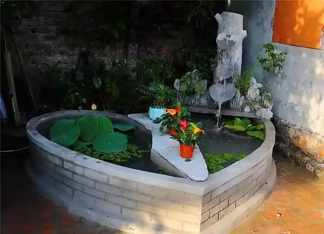 手艺人用砖头砌鱼池破旧老院儿养锦鲤别有一番韵味