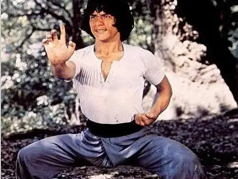 成龙已老,后继无人|成龙|功夫片|李小龙_新浪新闻