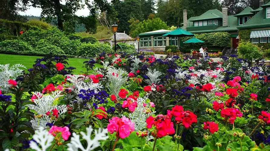 【图文】(加拿大)世界上最美的花园,布查太太与花仙子的故事