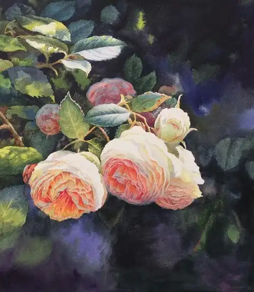 花花世界(水彩玫瑰花)|纯艺术|绘画|黄有维水彩_原创作品-站酷zcool