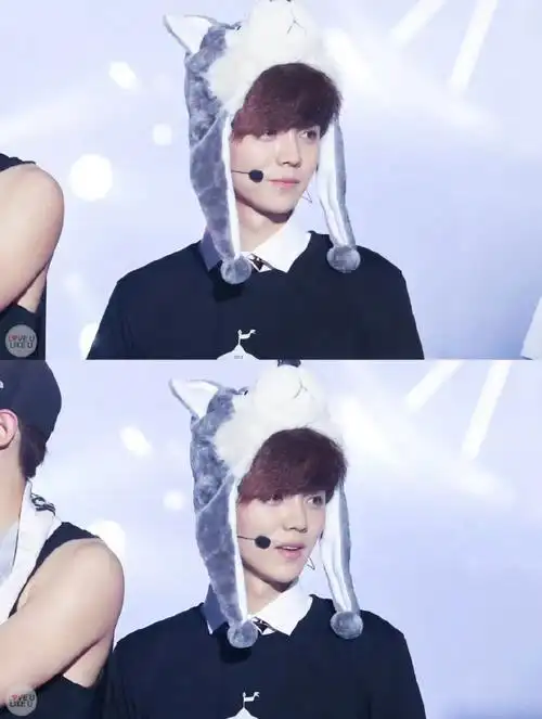 歌手鹿晗##鹿晗