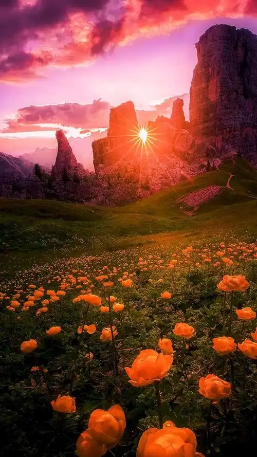 爱生活,爱自己动态壁纸_高清竖屏视频下载-火萤壁纸