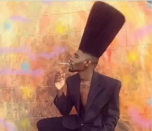 世界上最大的扫把头发型获吉尼斯认证林青霞曾经拥有