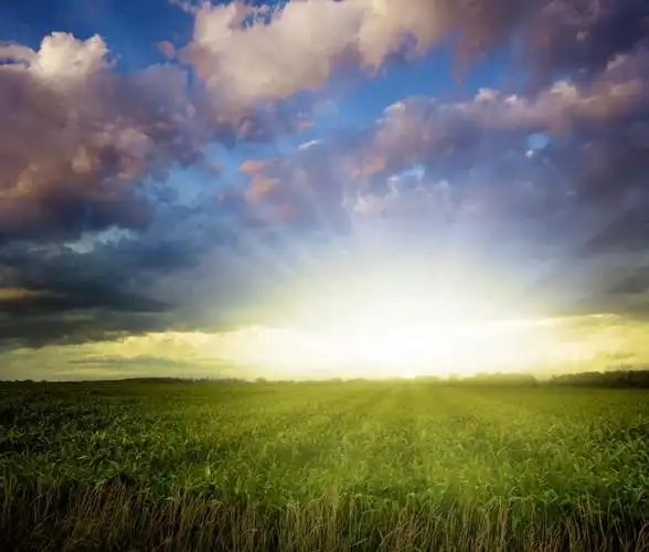 白天,正面,旅游,度假,草地,草坪,日出,美景,太阳,植物,美国,地平线