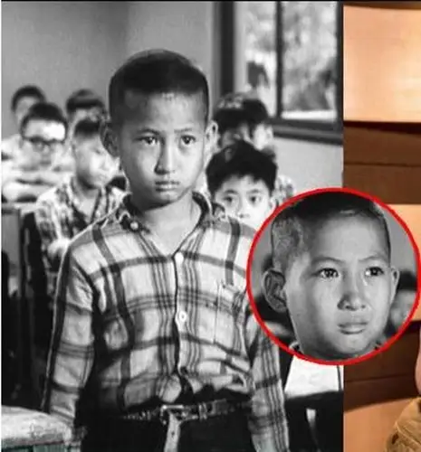 洪金宝竟是童星出身,许晴曾出西游记!