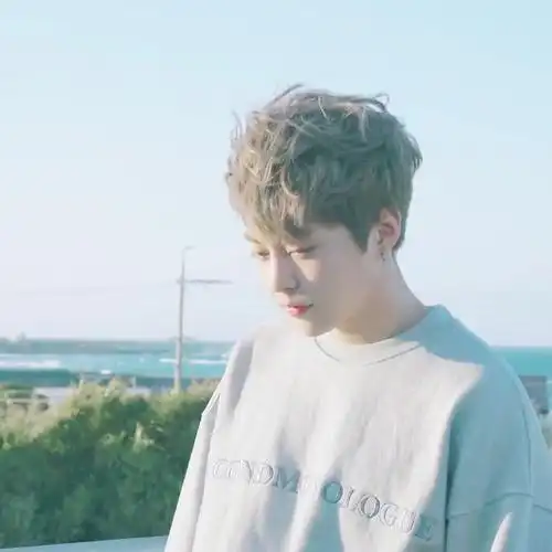 exo金珉锡头像