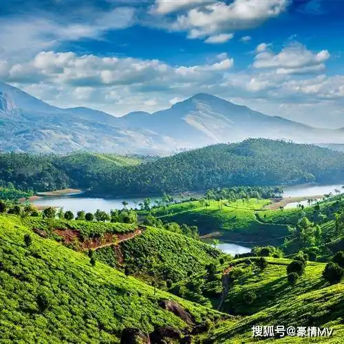 绿色草原系养心又养眼招财聚财带来好运的风景微信图片