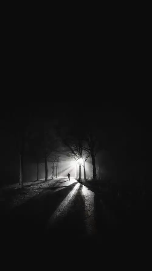 我习惯了白天笑 黑夜里哭 -★翩翩逐晚风