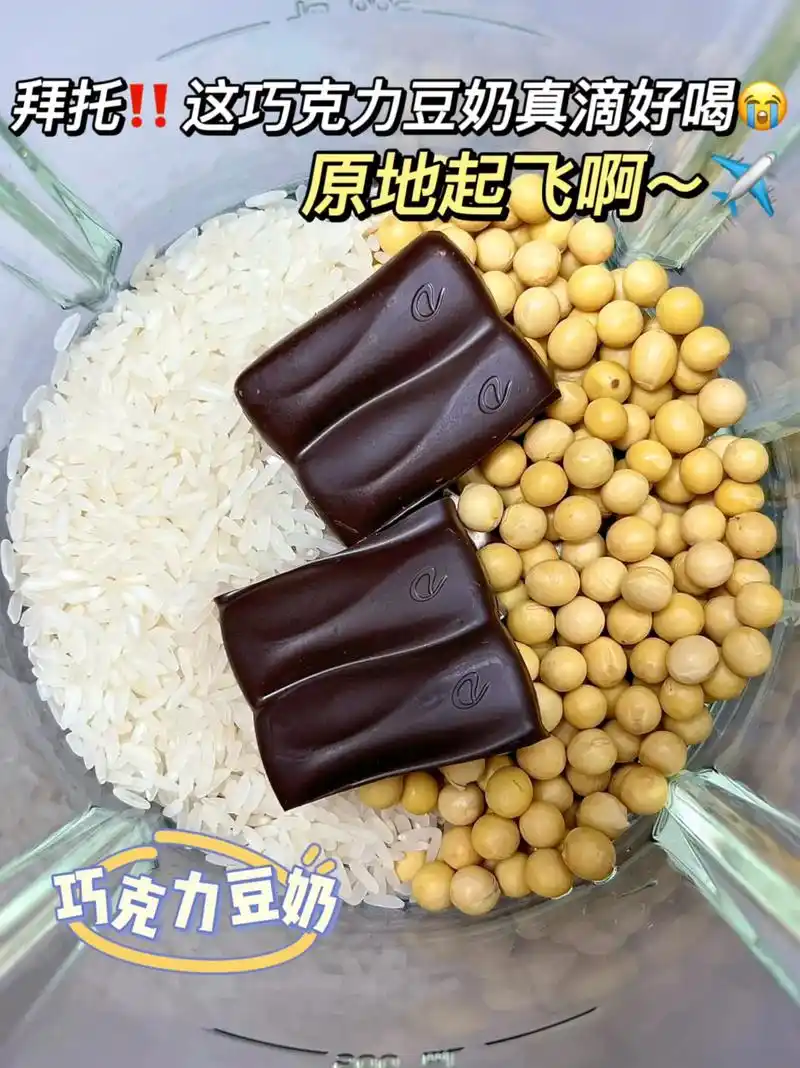 有破壁机的姐妹一定要试试这个9499～巧克力95豆奶～丝滑醇