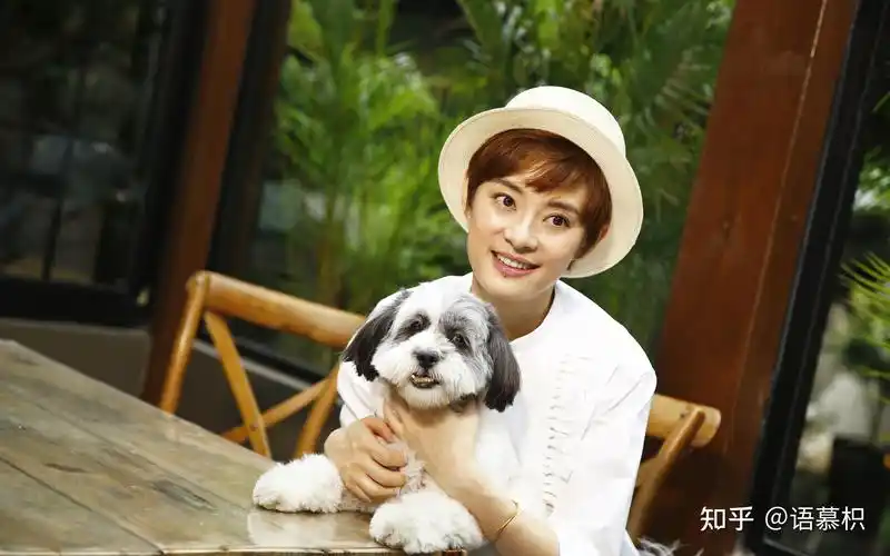 八卦爆料:王一博,刘诗诗,唐嫣,周冬雨,孙俪,江疏影 - 知乎