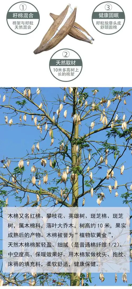自然植物木棉絮片木棉花针刺棉木棉有机棉混纺棉木棉羊毛夹棉