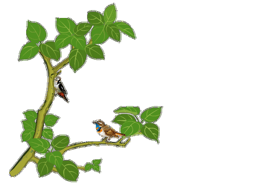 【抠图素材】透明gif花草树木素材(2) - 秋思梦景 - 秋思梦景的博客