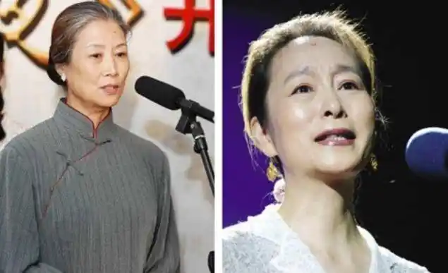 吕中,奚美娟傻傻分不清楚,同有额头上的痣_荧屏_观众_演技