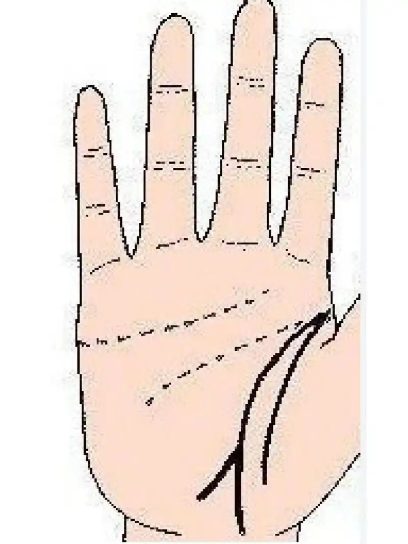 生命线有分叉向上 一,生命线有分叉向上 当出现这种纹路时,则代表这类