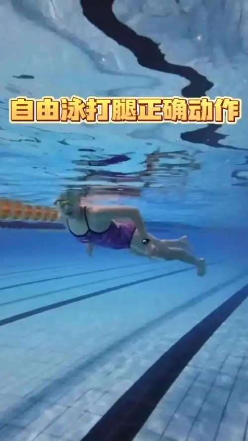 自由泳打腿正确动作示范