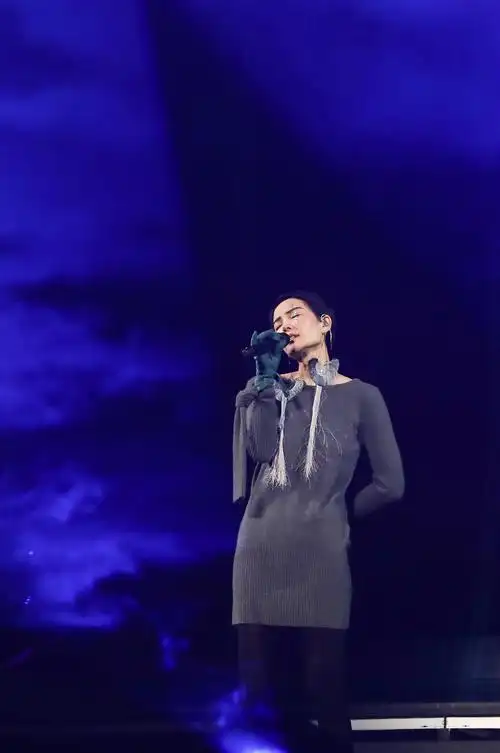 王菲:幻乐一场(纪录片)