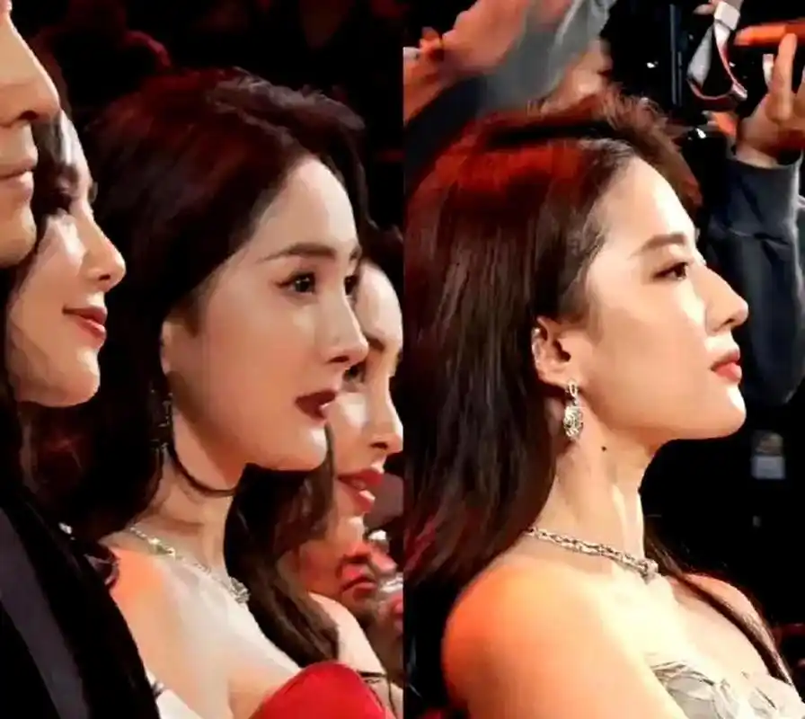 比较之后才发现,杨幂和刘亦菲的美貌相差如此之大,无论是侧颜还是正面